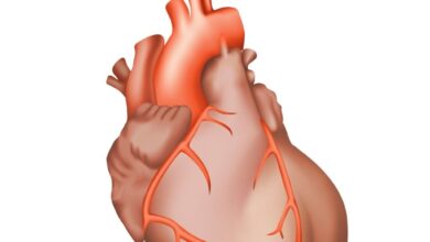 علاج امراض القلب بالاعشاب