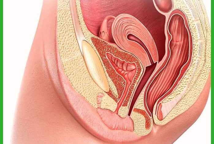 علاج التهابات فتحة الشرج بالاعشاب