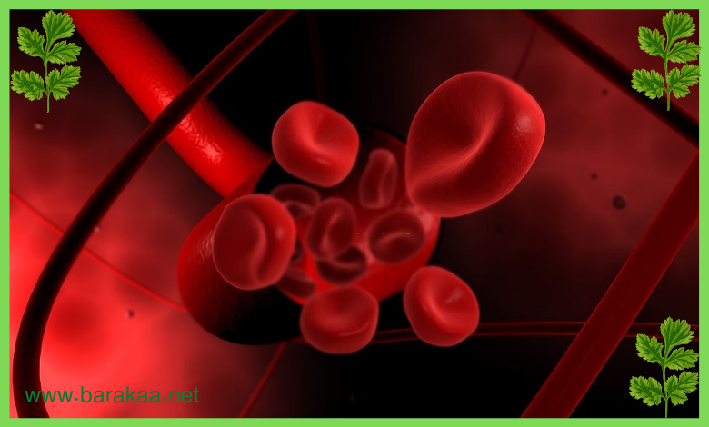 علاج فقر الدم بالاعشاب في اسبوع