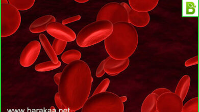علاج زيادة نسبة الدم بالاعشاب