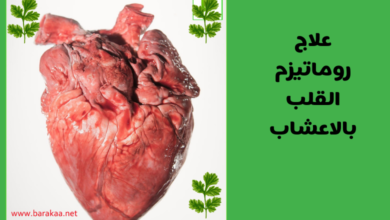 علاج روماتيزم القلب بالاعشاب