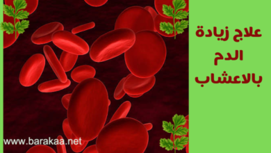 علاج زيادة الدم بالاعشاب