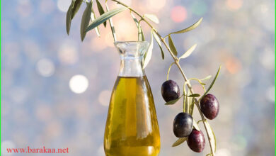 فوائد زيت الزيتون لفطريات المهبل