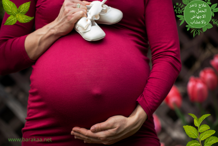 علاج تاخر الحمل بعد الاجهاض بالاعشاب