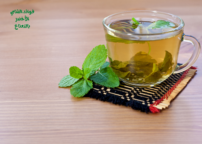 فوائد الشاي الأخضر بالنعناع تعرف على الفوائد المزهلة للشاي الأخضر