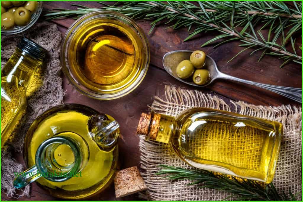 فوائد دهن الذكر بزيت الزيتون تعرف على فوائد زيت الزيتون للعضو الذكري