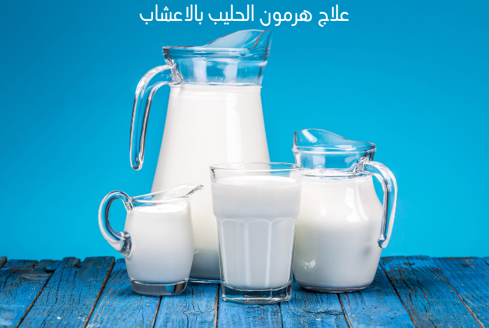 علاج هرمون الحليب بالاعشاب