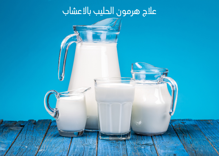 علاج هرمون الحليب بالاعشاب | تخلص من ارتفاع هرمون الحليب نهائيا بطرق مجربة