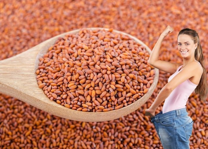 حب الرشاد لازالة الكرش تعرفي على اهم استخدام حب الرشاد للتخسيس بركة للأعشاب الطبية