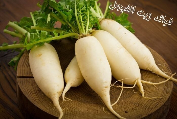 فوائد زيت الفيجل