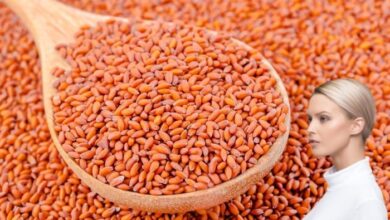 حب الرشاد لتسمين الوجه
