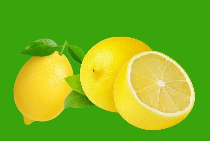 هل الليمون مضر للحامل