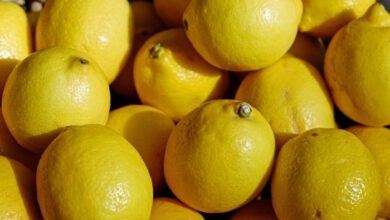 هل الليمون يفسد الصيام المتقطع