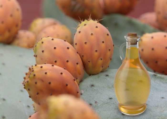 زيت التين الشوكي للمنطقه الحساسة زيت التين للتخلص من الروائح الكريهة بالمنطقه الحساسة