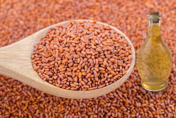 كيفية استخدام زيت حب الرشاد للعظام تعرف على فوائد زيت حب الرشاد للعظام