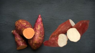 الفرق بين البطاطا الحلوة البيضاء والبرتقالية