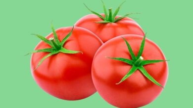 فوائد الطماطم للبروستاتا
