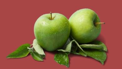 هل التفاح الاخضر يزيد الوزن