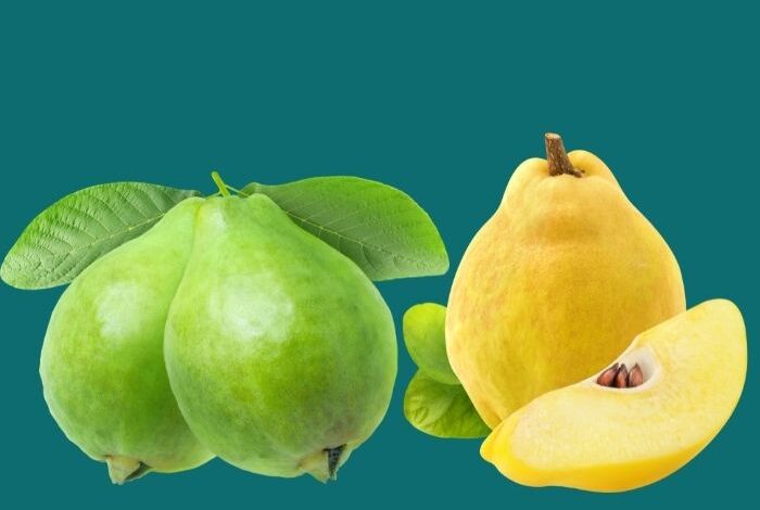 هل الجوافة هي السفرجل