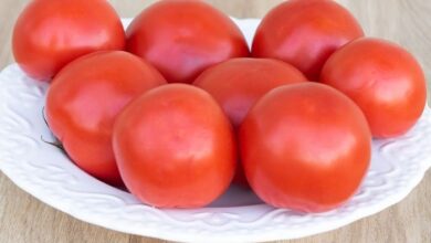 فوائد الطماطم للدم