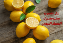 هل الليمون يبطل مفعول المضاد الحيوي
