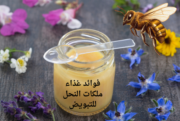 فوائد غذاء ملكات النحل للتبويض