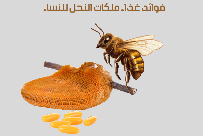 فوائد غذاء ملكات النحل للنساء